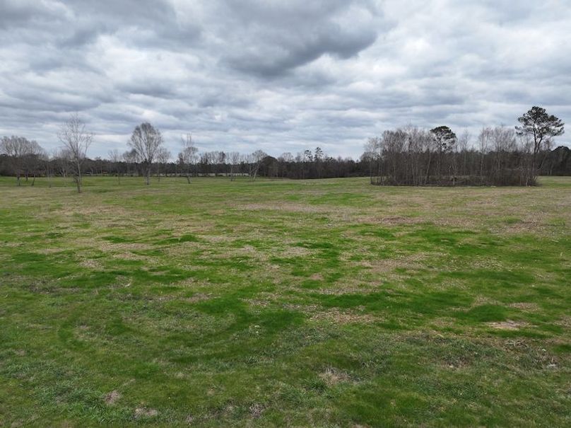 Copy of dji_fly_20260217_144132_0167_1771436899137_photo