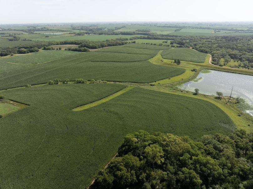 DJI_20250729103238_0080_D