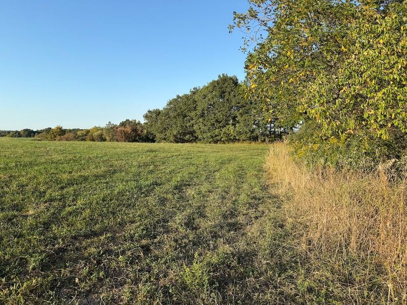 Copy of Wood Tract 6 Photo 10