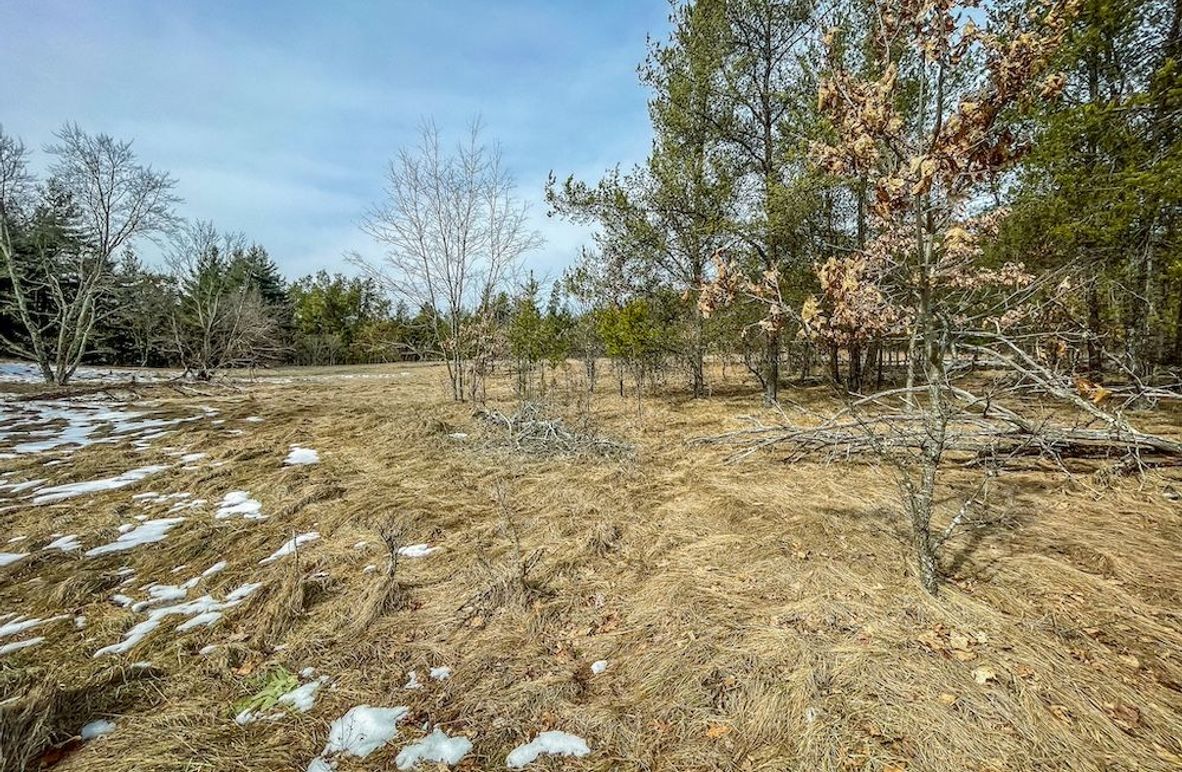 Adams 10.06 Johnson-2