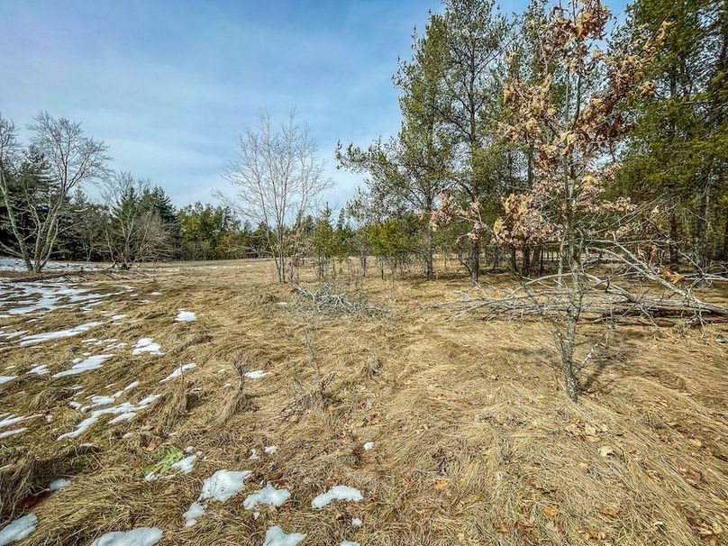 Adams 10.06 Johnson-2