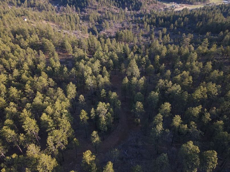 DJI_0050