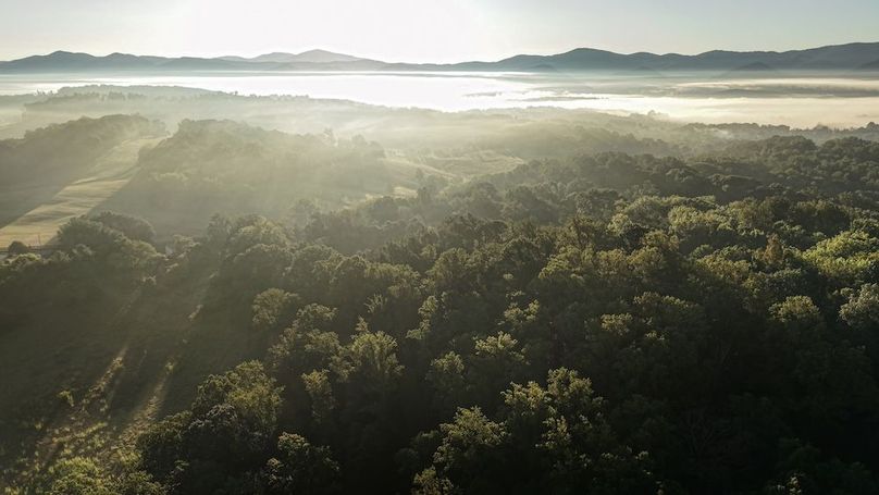 vlcsnap-2025-09-02-10h28m51s883