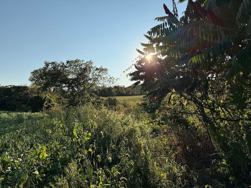 Copy of Wood Tract 6 Photo 9