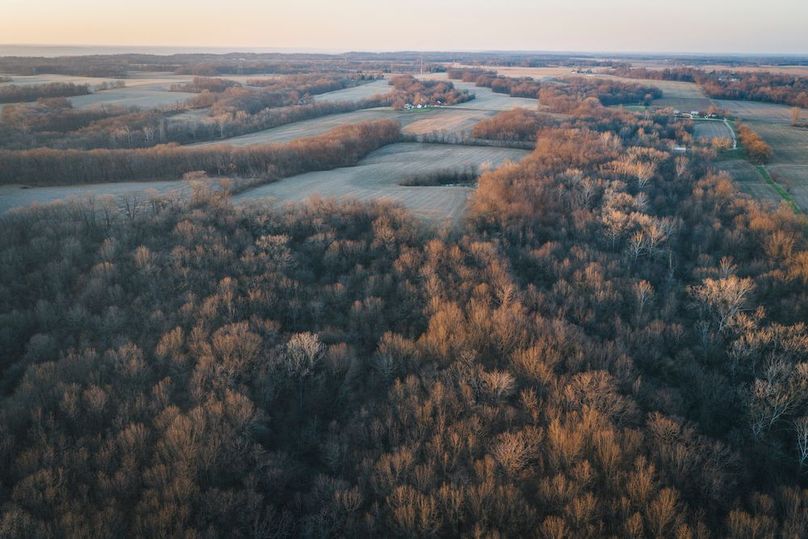 DJI_20260309183842_0334_D