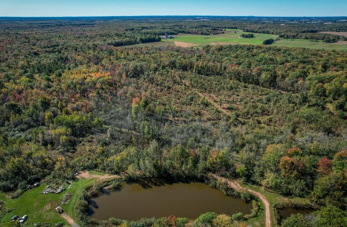 Wood 41.451, Collins -01