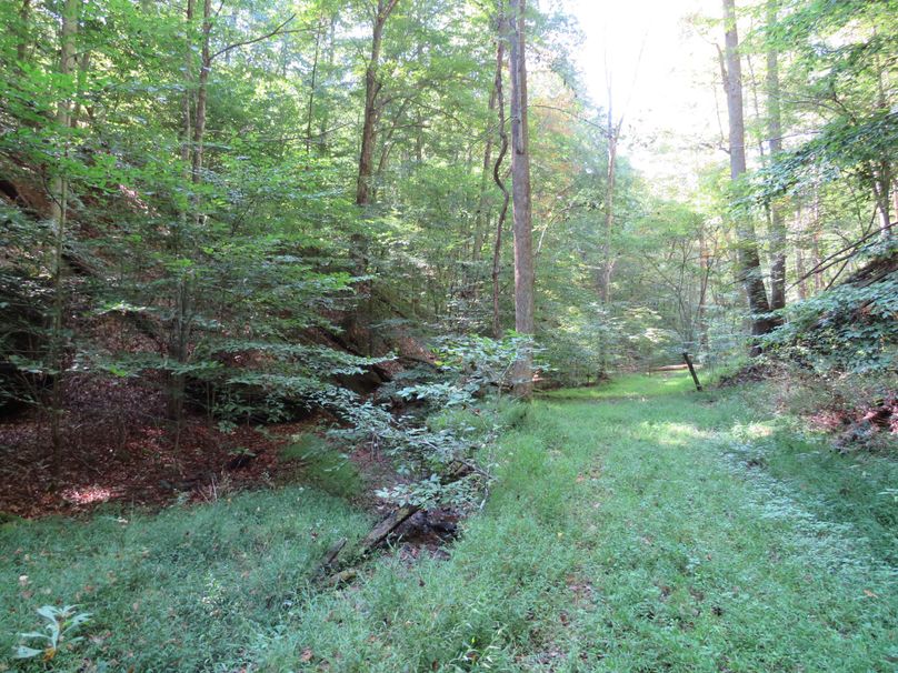 Cover photo - IMG_4912