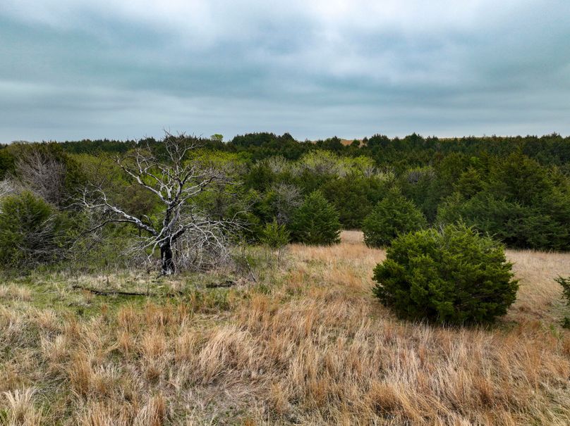 Washington, Co, 83.3_018