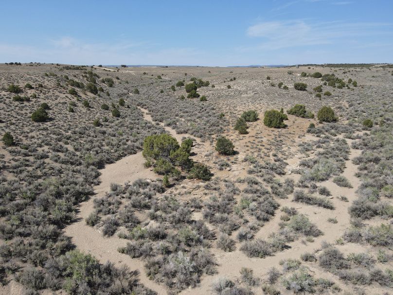 Photo 6553719 dji 119 jpg 7137700 0 2021622103210 photo original