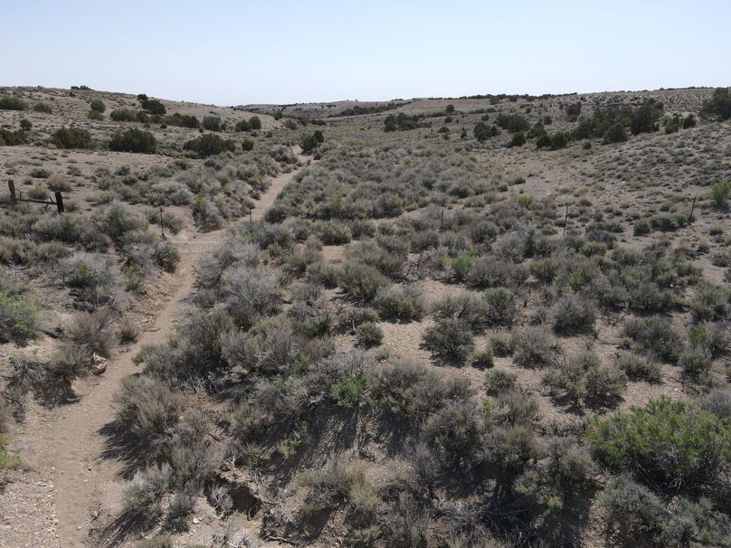 Photo 6553725 dji 125 jpg 7337624 0 2021622103352 photo original