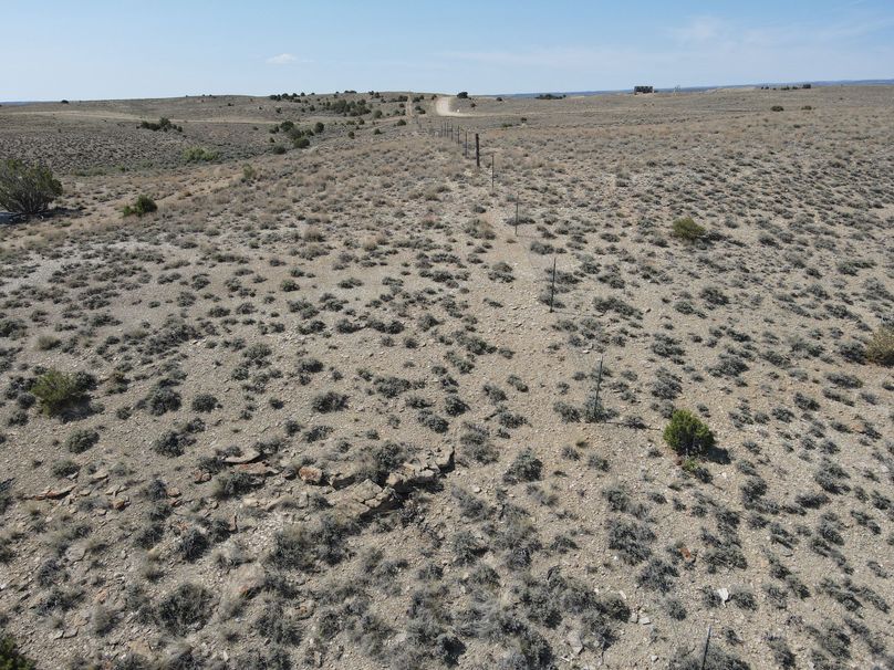 Photo 6553726 dji 126 jpg 8485517 0 202162210346 photo original