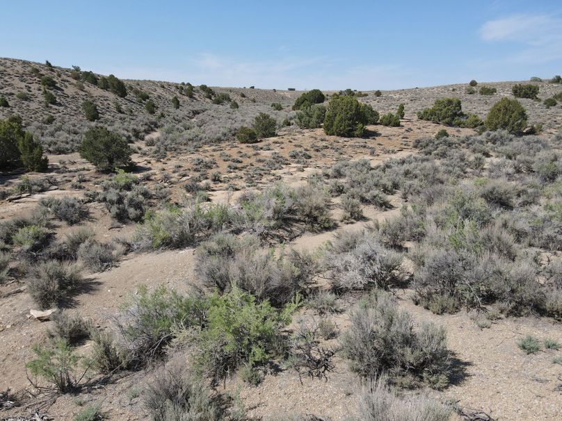 Photo 6553749 dji 149 jpg 8118498 0 2021622103748 photo original