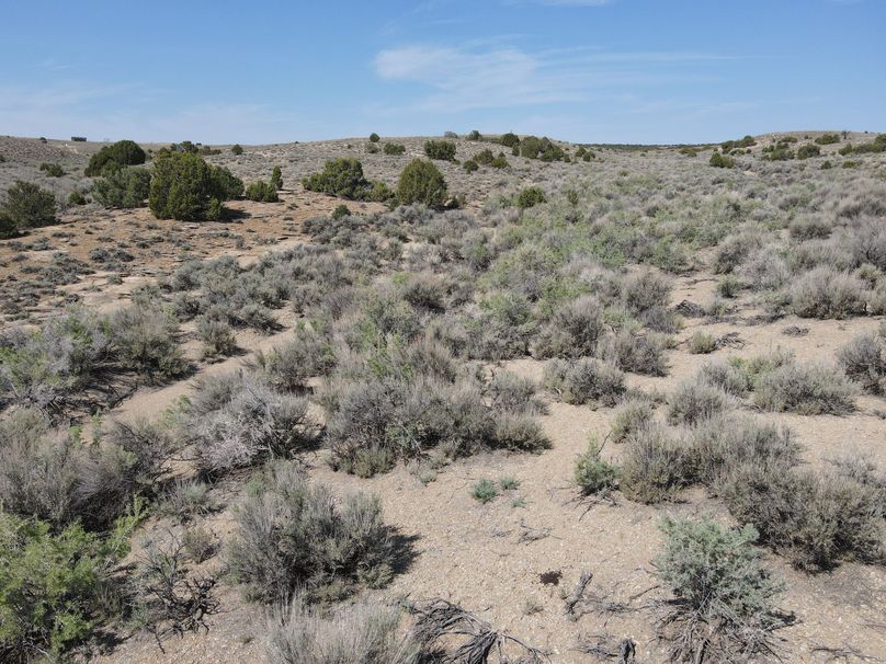 Photo 6553750 dji 150 jpg 7946199 0 2021622103752 photo original