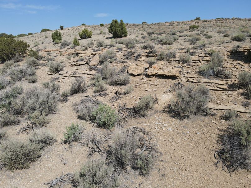 Photo 6553751 dji 151 jpg 8514521 0 2021622103758 photo original