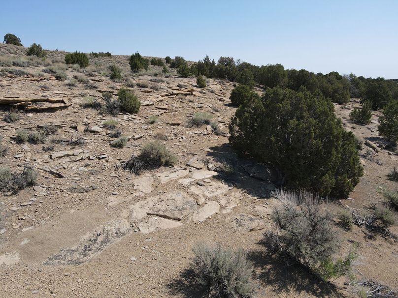 Photo 6553753 dji 153 jpg 7719818 0 202162210384 photo original