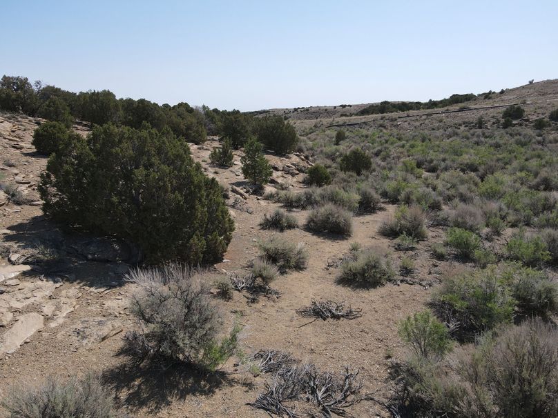 Photo 6553754 dji 154 jpg 7041287 0 202162210388 photo original