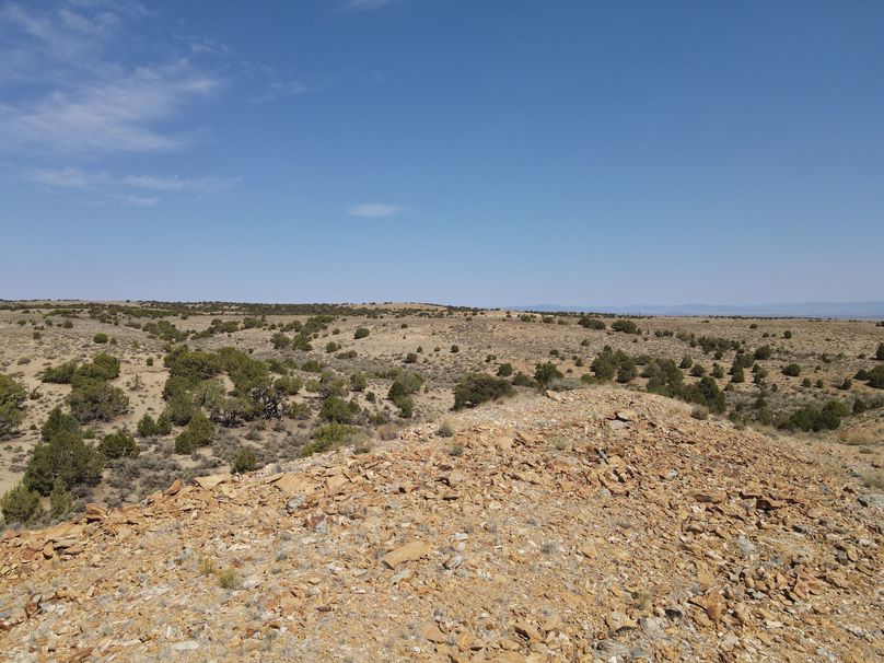 Photo 6553762 dji 162 jpg 6296565 0 2021622104114 photo original