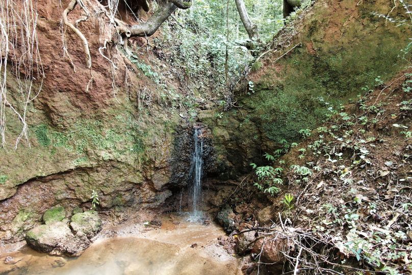 10 waterfall in creek
