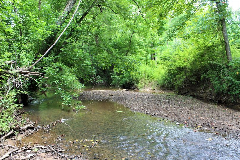038 view of the creek where the roads lead across to the south side of the property