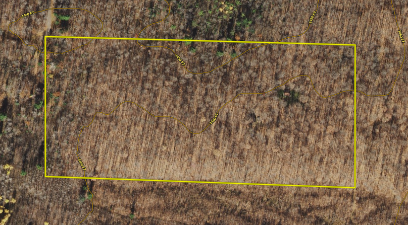 Screen shot 2021-07-14 at 11.56.44 am