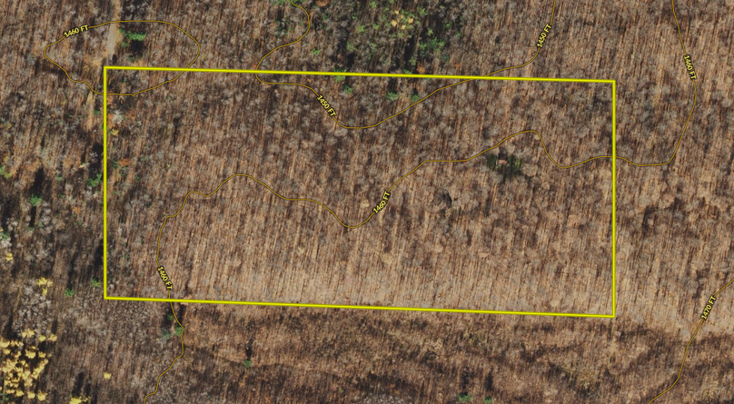 Screen shot 2021-07-14 at 11.57.05 am