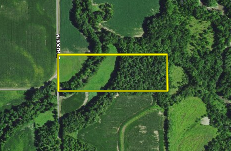 Screen shot 2021-07-19 at 10.15.19 am