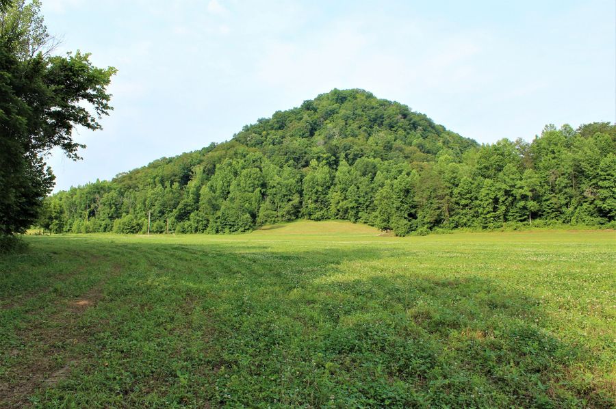 006 one of the upper valley fields in the northeast portion of the property