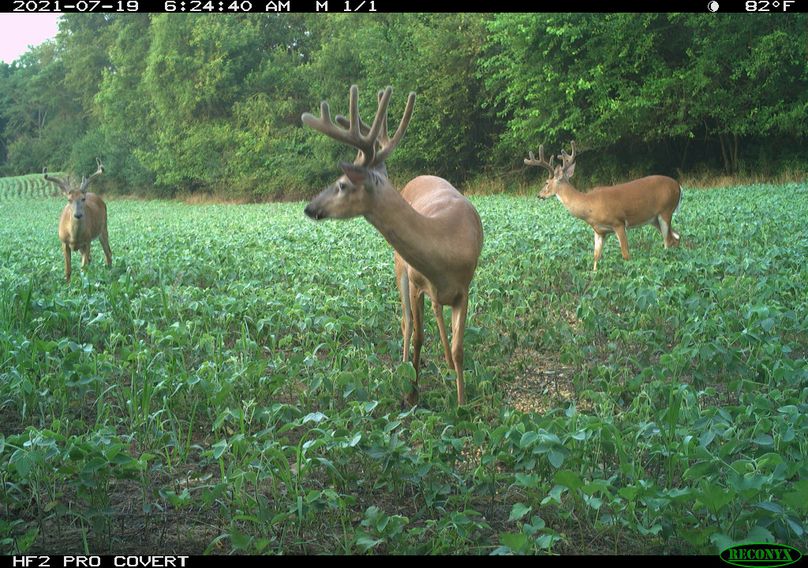 1.1.trailphoto.pike2350.5