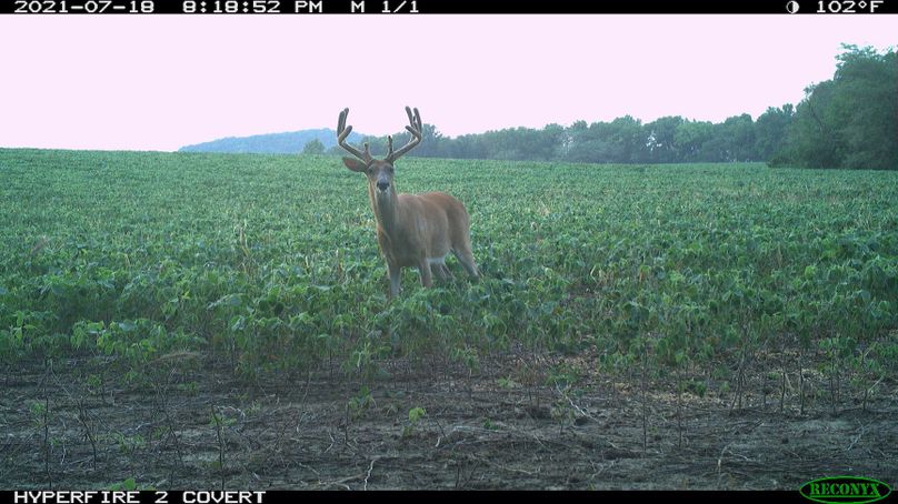 1.1.trailphoto.pike2350.1