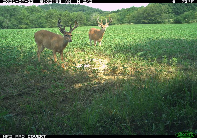 1.1.trailphoto.pike2350.3.0