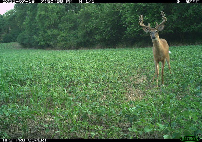 1.1.trailphoto.pike2350.3