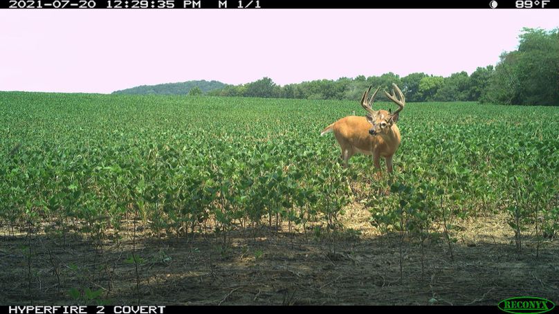 1.1.trailphoto.pike 2350