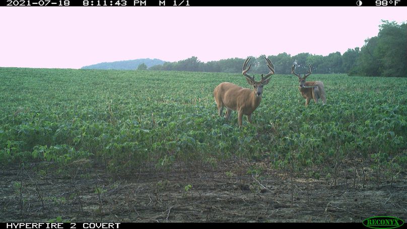 1.trailphoto.pike2350.2