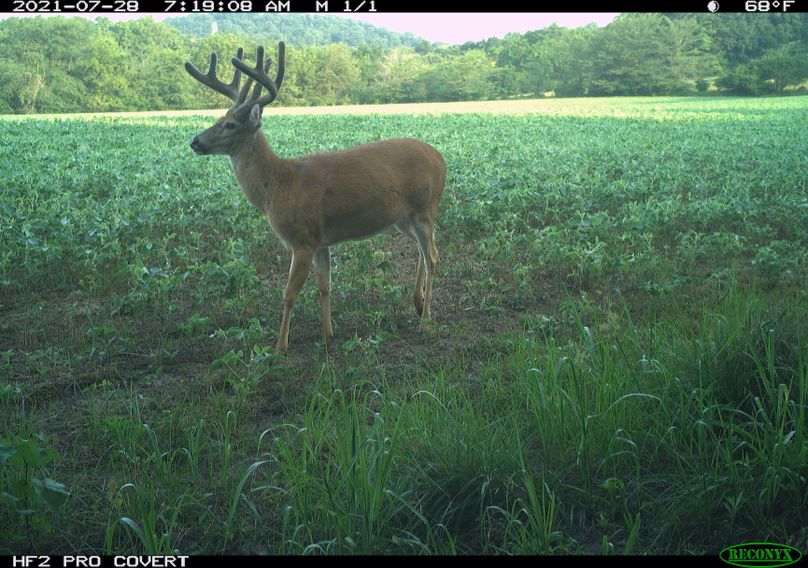 1.trailphoto.pike2350.3