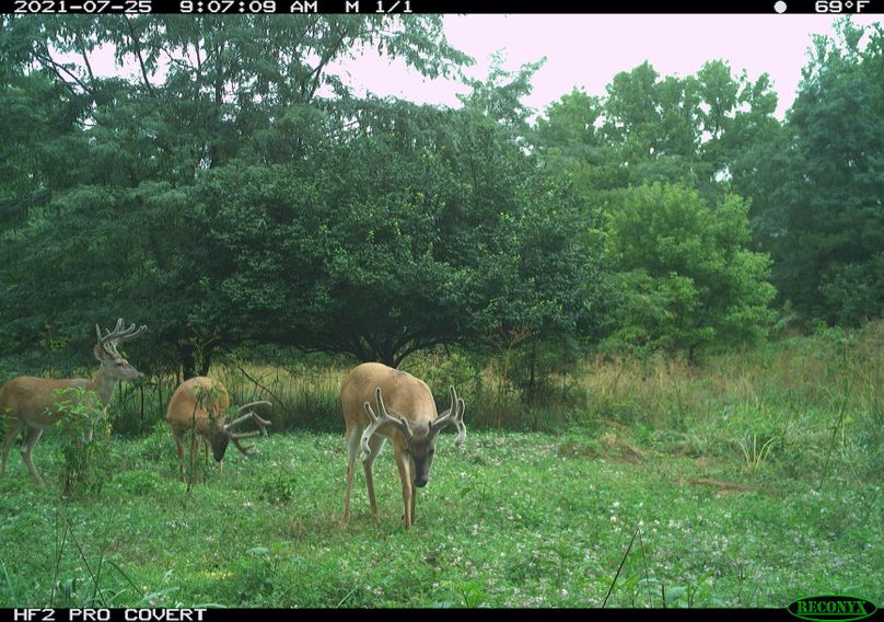 1.trailphoto.pike2350.4