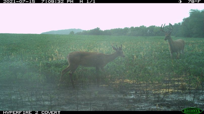 1.trailphoto.pike2350.7