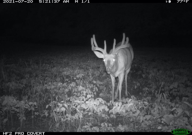 2.trailphoto.pike2350.1(1)