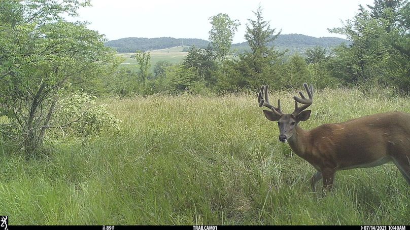 2.trailphoto.pike2350.2