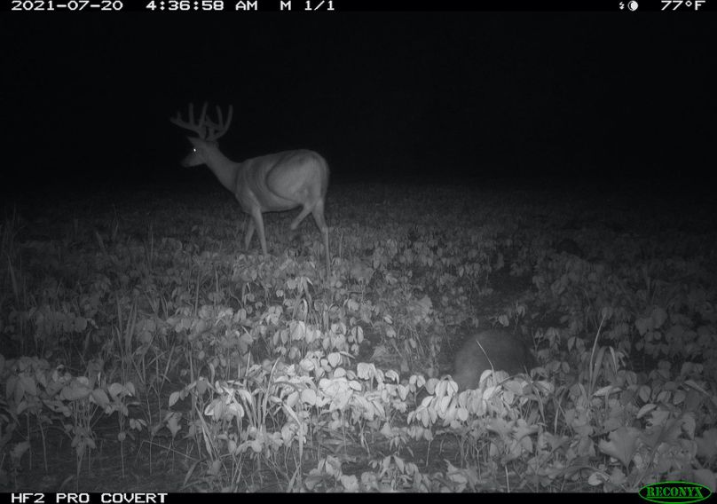 2.trailphoto.pike2350.2(1)