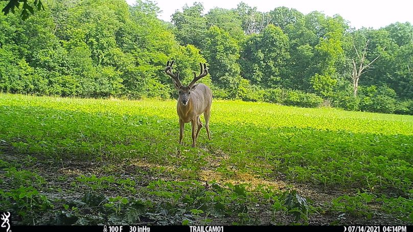 2.trailphoto.pike2350.3