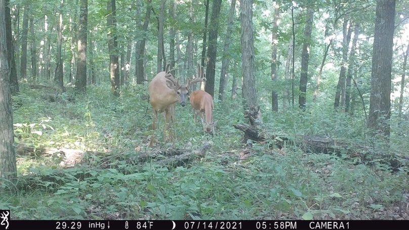 2.trailphoto.pike2350.4