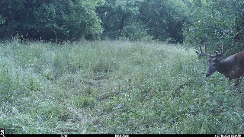 2.trailphoto.pike2350.5