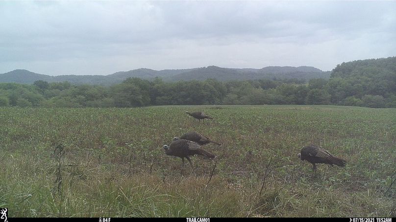 2.trailphoto.pike2350.6