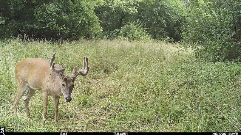 2.trailphoto.pike2350.7