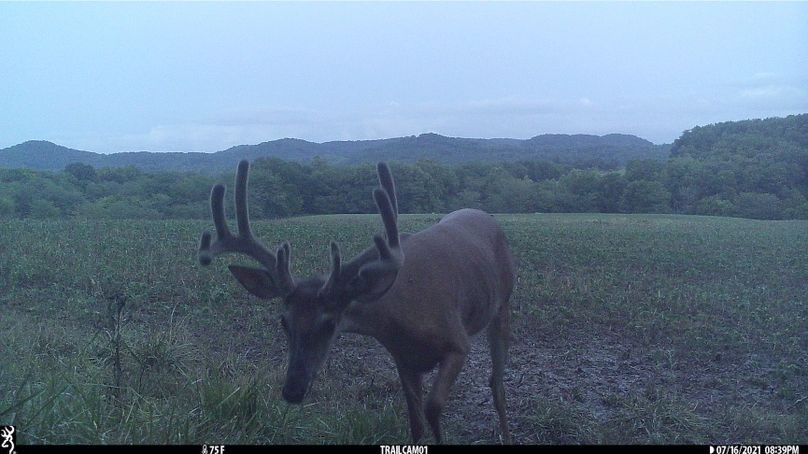 2.trailphoto.pike2350.8