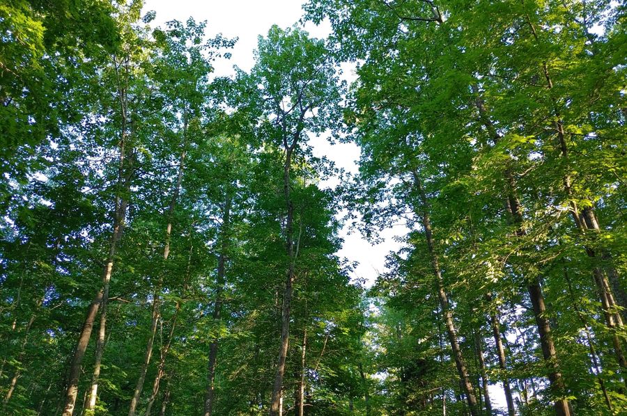 0709211852a hdr