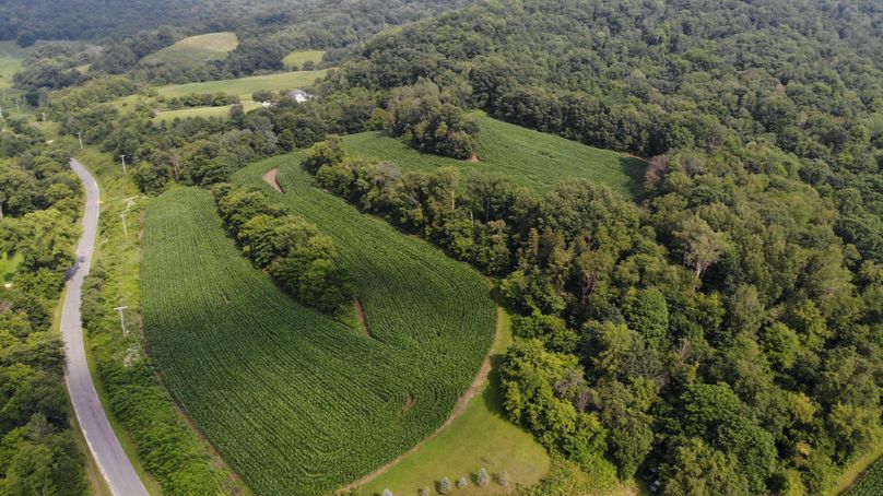 Monroe 20 - 10 of 51