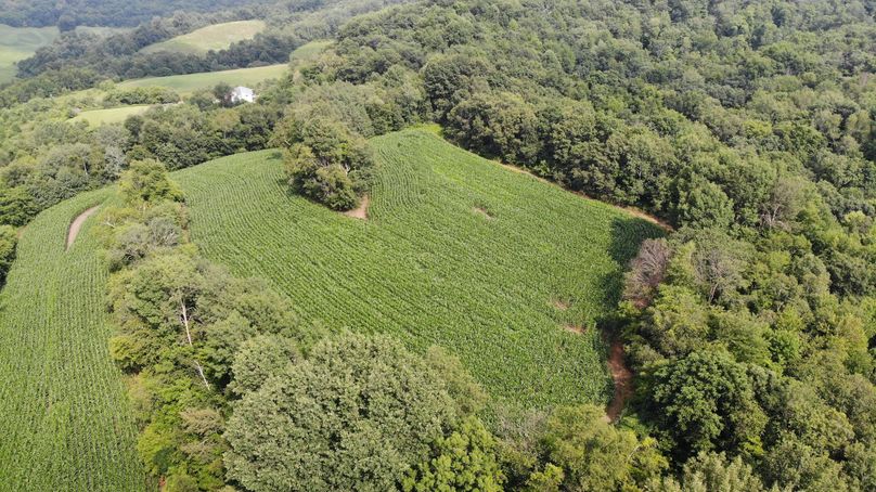 Monroe 20 - 11 of 51