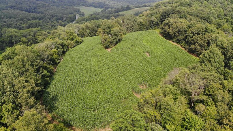 Monroe 20 - 13 of 51