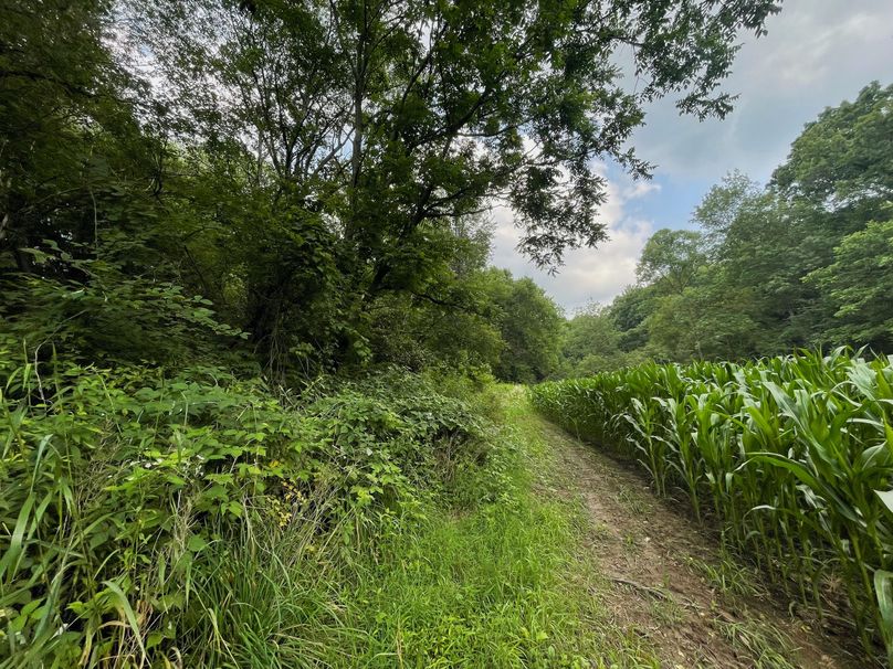 Monroe 20 - 34 of 51